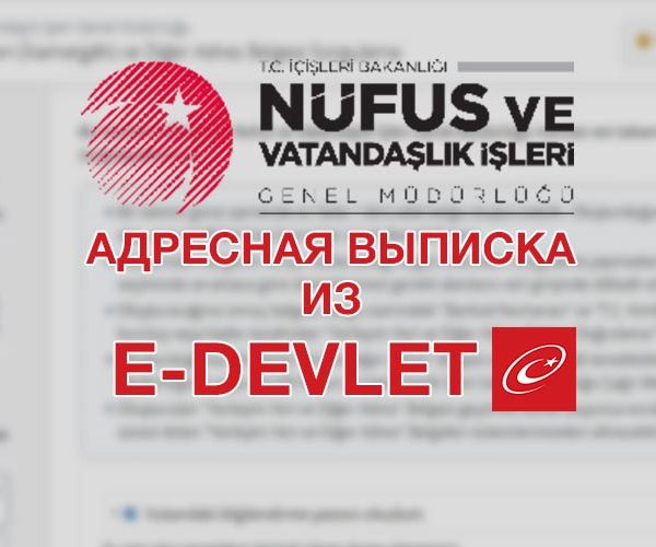 Адресная выписка из E-Devlet (госуслуги в Турции)