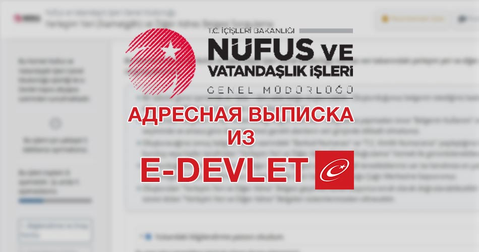 Адресная выписка из E-Devlet (госуслуги в Турции)