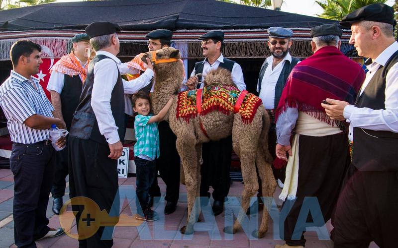 Аланья, Турция, фото. Фестиваль туризма и искусств. Катание на верблюде.