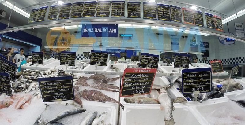 Рыба в Турции. Названия, цены, фото.