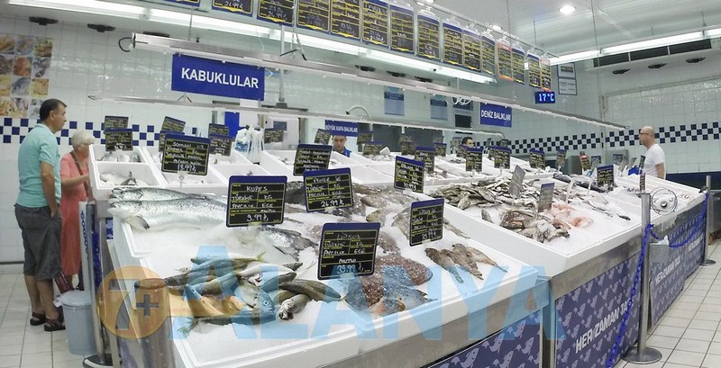 Рыба в Турции. Названия, цены, фото.