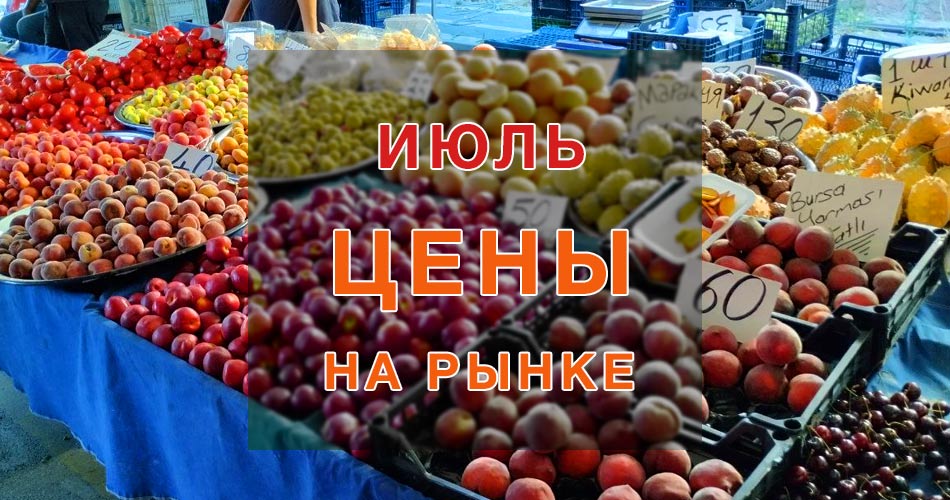 цены на рынке в аланье - июль